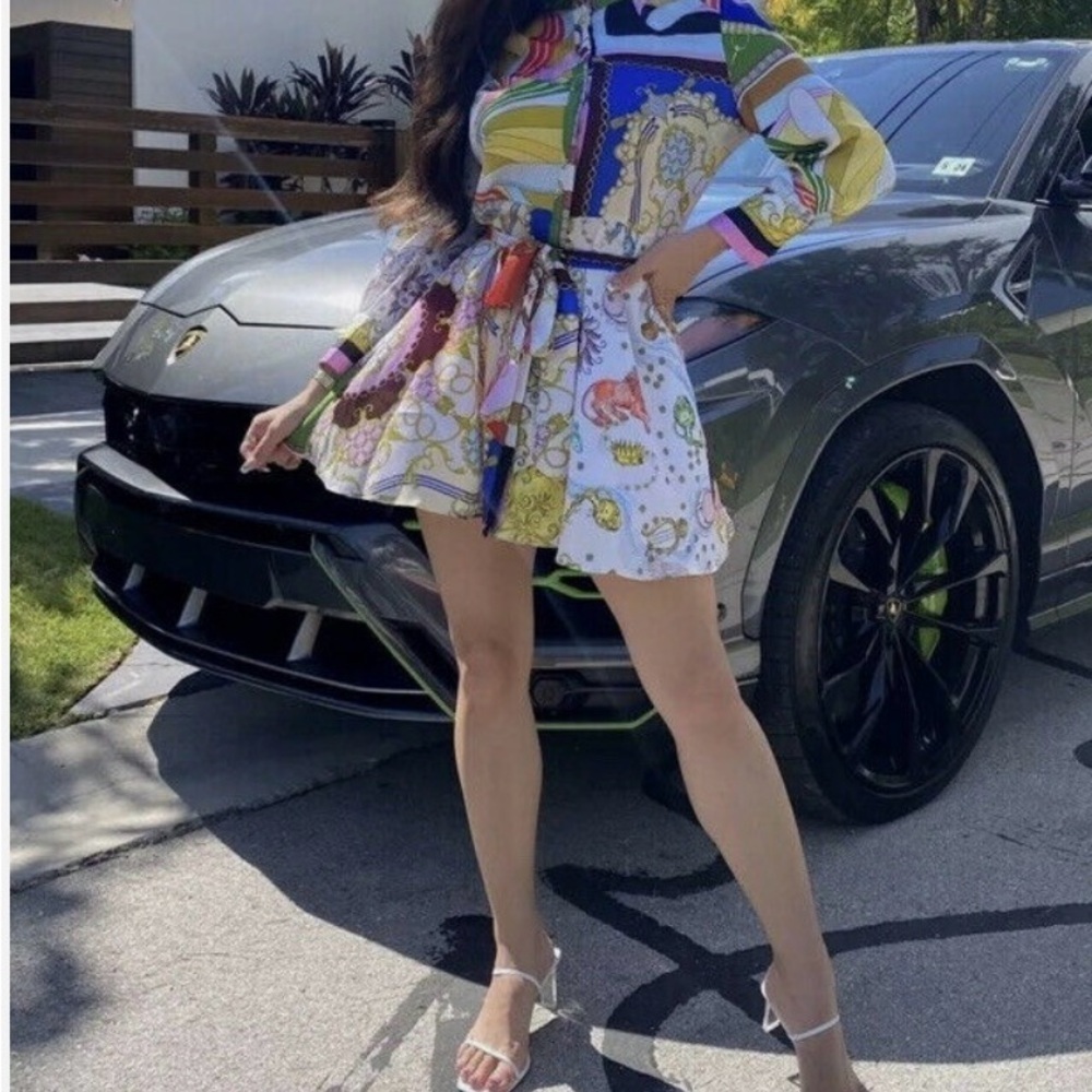 Zara Multicolor Chain Print Dress
